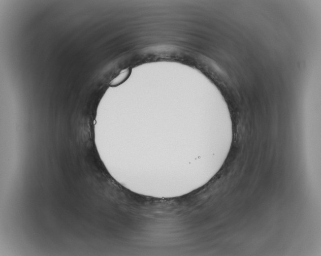 X0000113271062200910221054