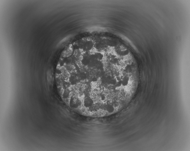 X0000113271063200910221054