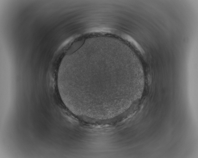 X0000113271064200910221054