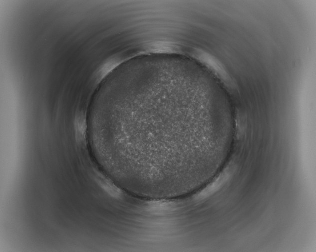 X0000113271065200910221054