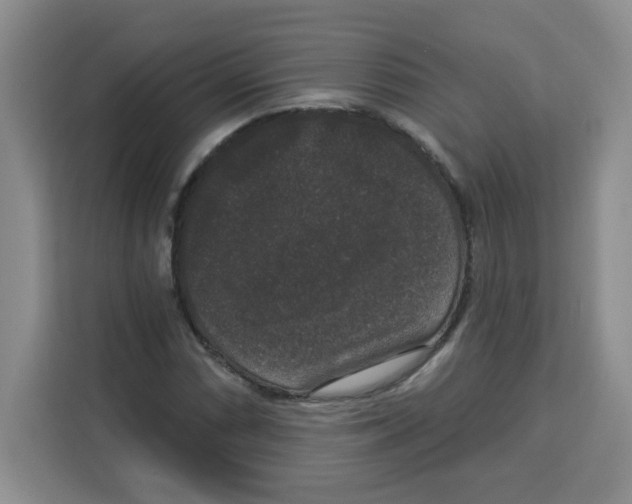 X0000113271066200910221054