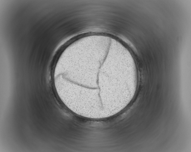 X0000113271070200910221054