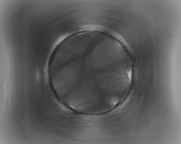 X0000113271071200910221054