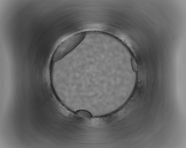 X0000113271072200910221054