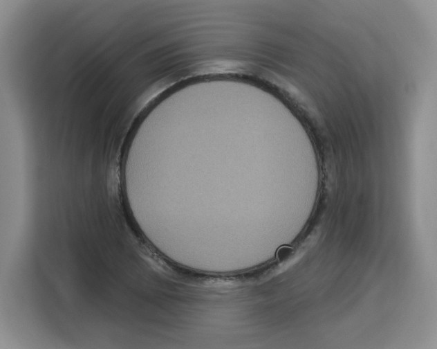 X0000113271073200910221054