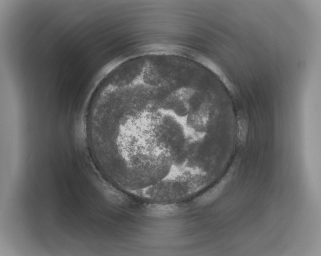 X0000113271074200910221054