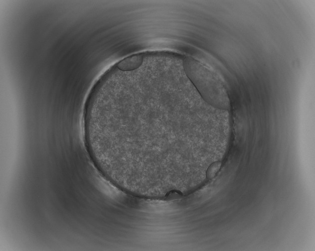 X0000113271076200910221054