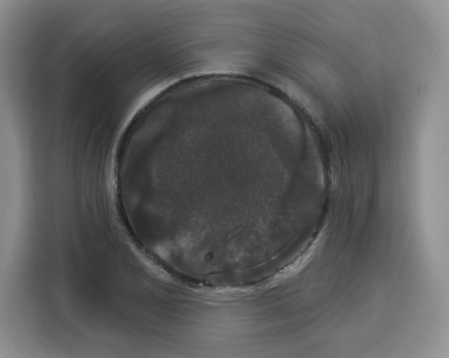 X0000113271077200910221054