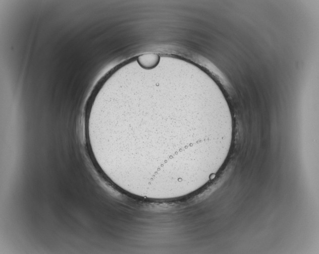 X0000113271079200910221054