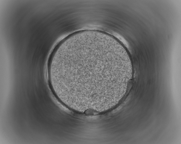 X0000113271080200910221054