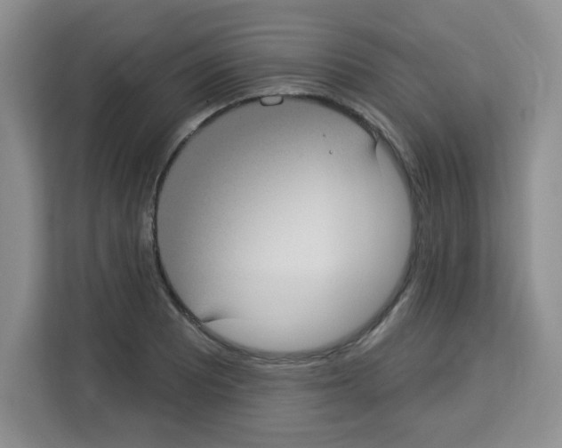 X0000113271081200910221054