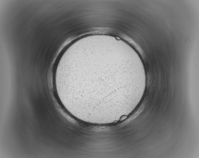 X0000113271083200910221054