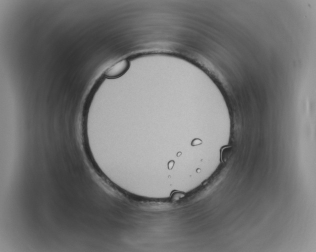 X0000113271085200910221054