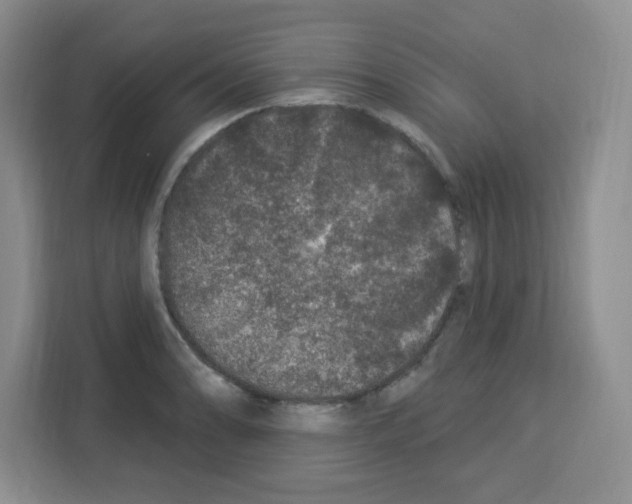 X0000113271086200910221054