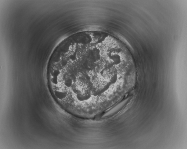 X0000113271087200910221054