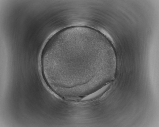 X0000113271088200910221054