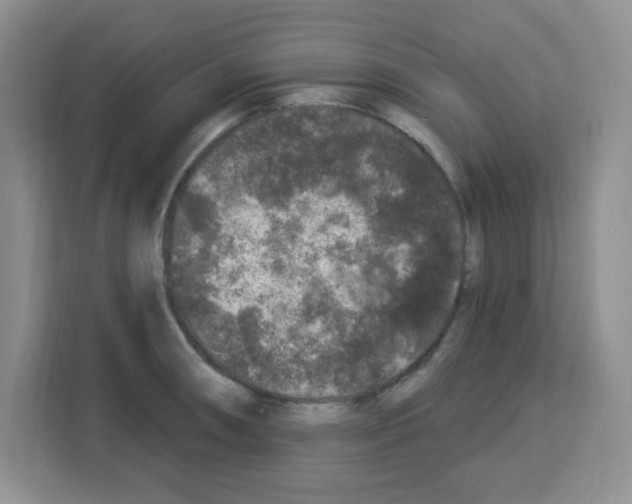 X0000113271090200910221054