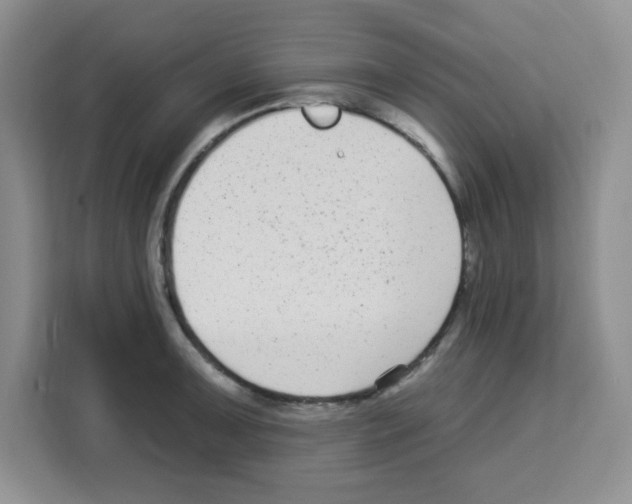 X0000113271091200910221054