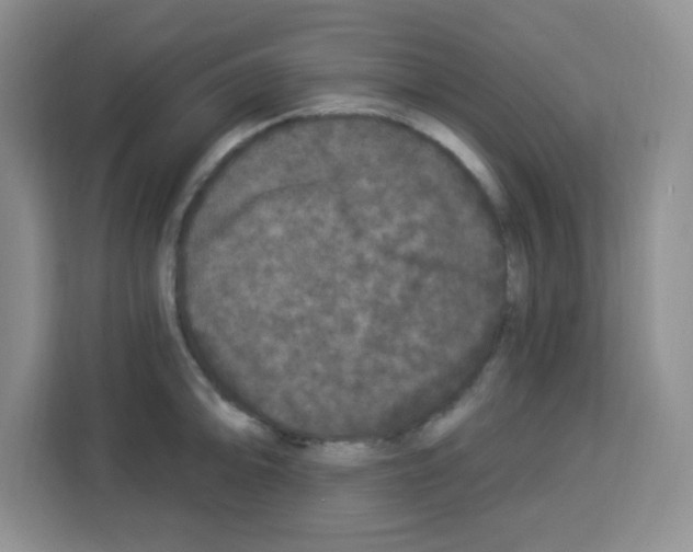 X0000113271094200910221054