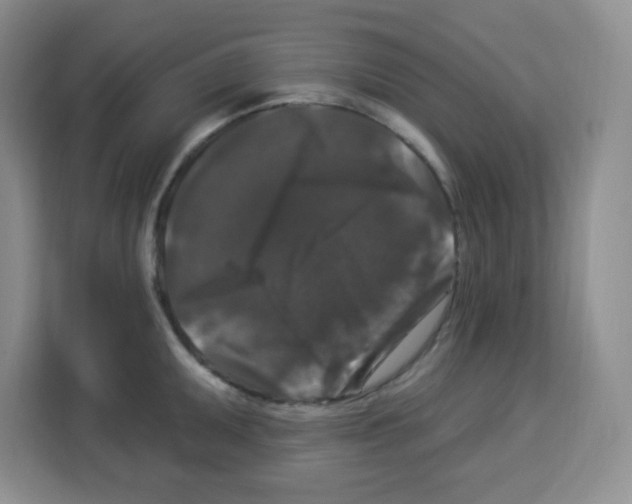 X0000113271095200910221054