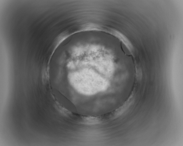 X0000113271097200910221054