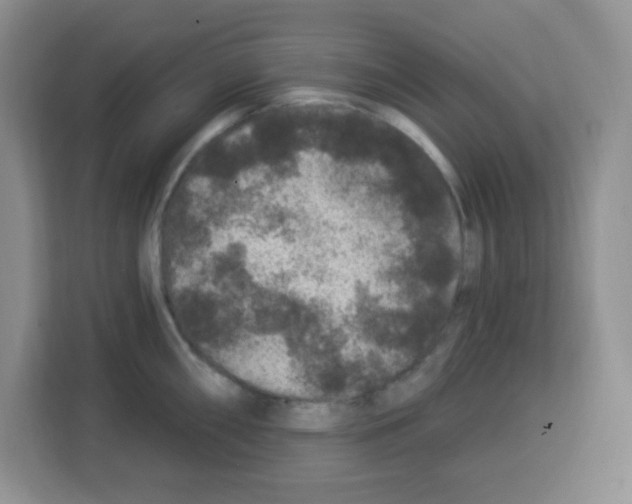 X0000113271098200910221054