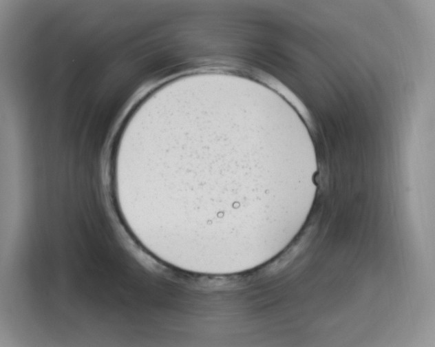 X0000113271099200910221054