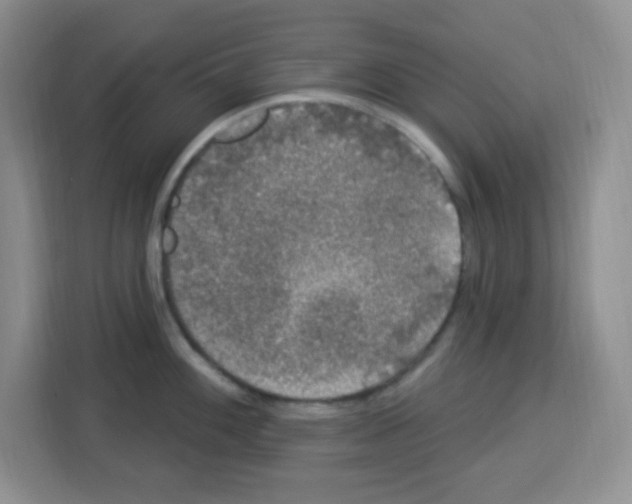 X0000113271100200910221054