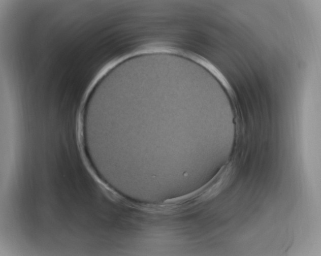 X0000113271101200910221054