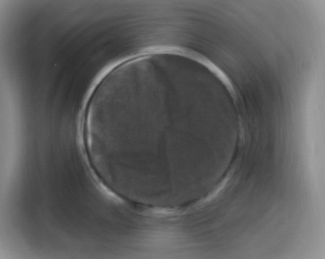 X0000113271102200910221054