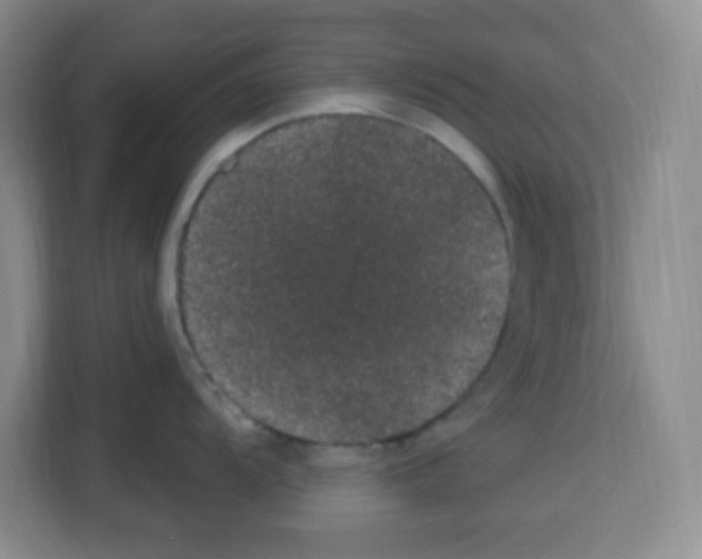 X0000113271104200910221054