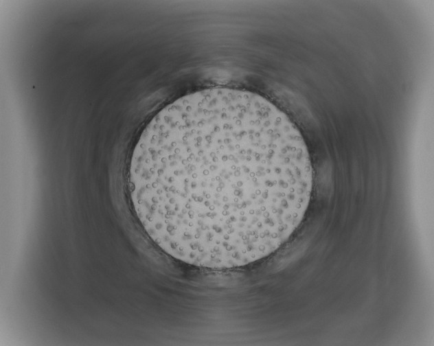 X0000113271105200910221053