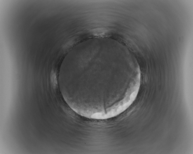 X0000113271106200910221053