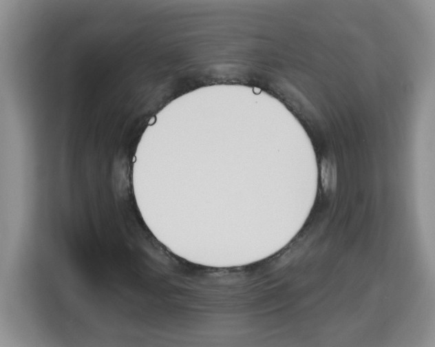 X0000113271107200910221053