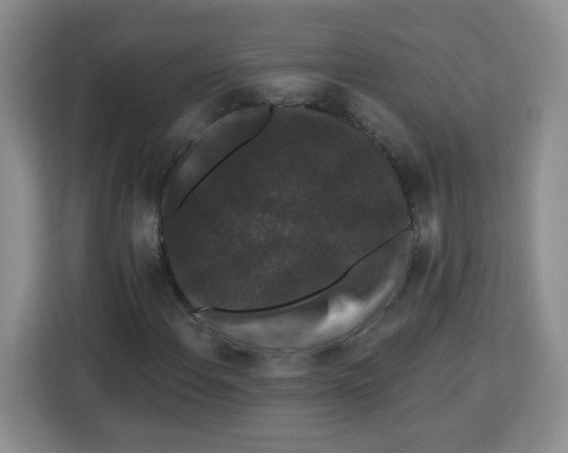 X0000113271108200910221053