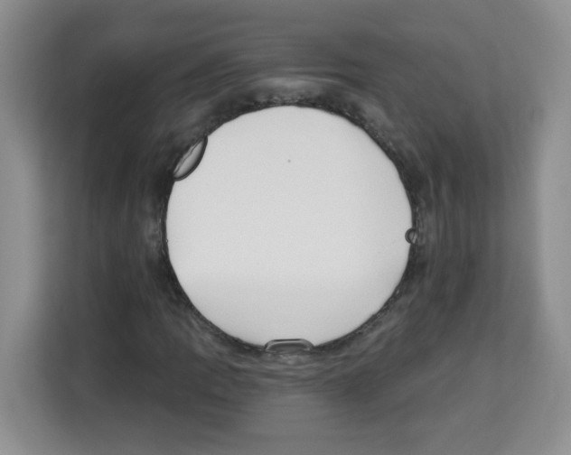 X0000113271109200910221053