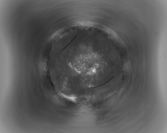 X0000113271110200910221053