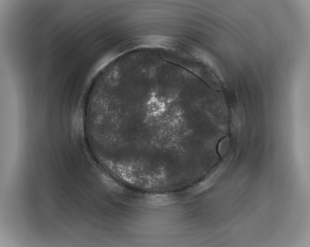 X0000113271114200910221053