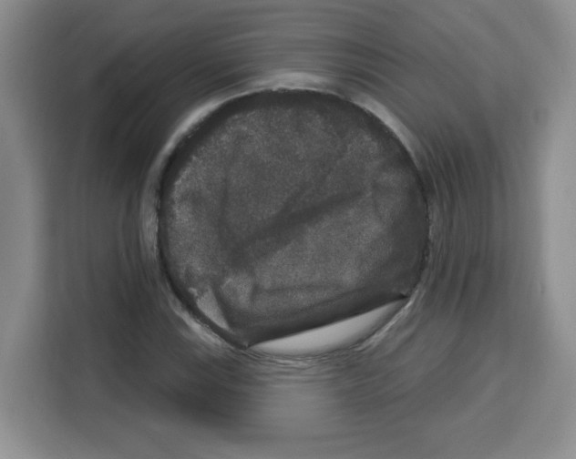 X0000113271115200910221053