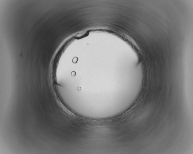 X0000113271116200910221053