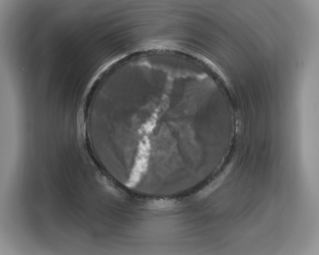 X0000113271117200910221053