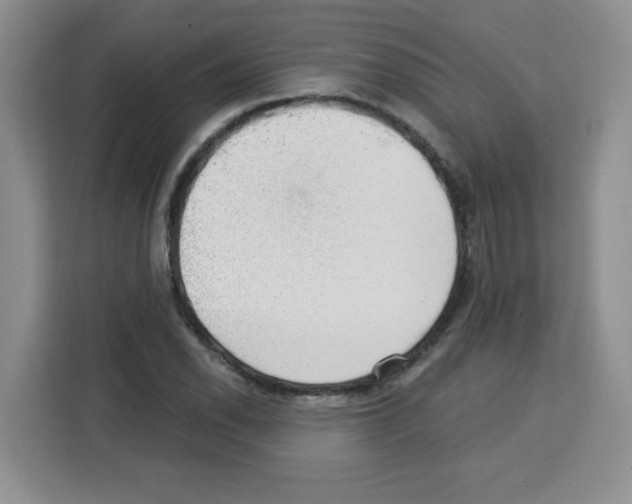 X0000113271118200910221053