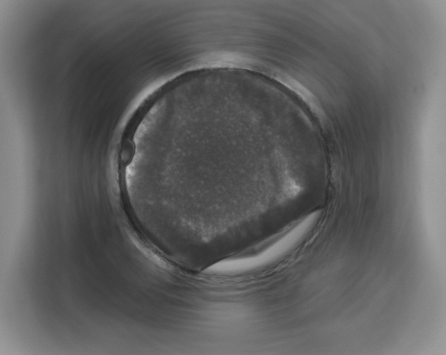 X0000113271120200910221054