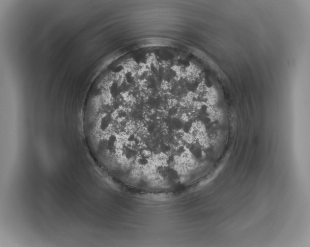 X0000113271121200910221054