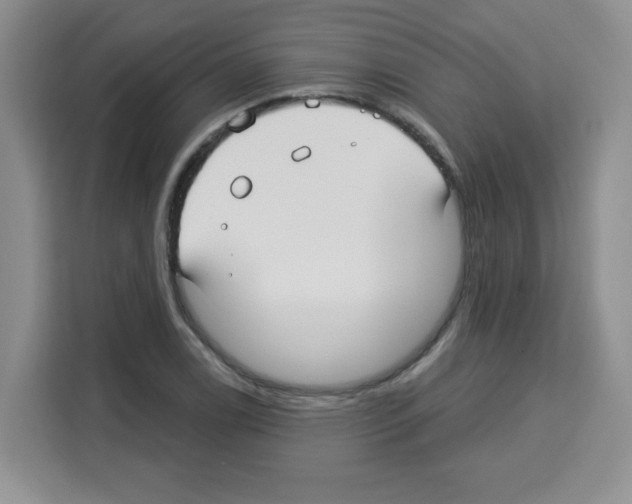 X0000113271122200910221054