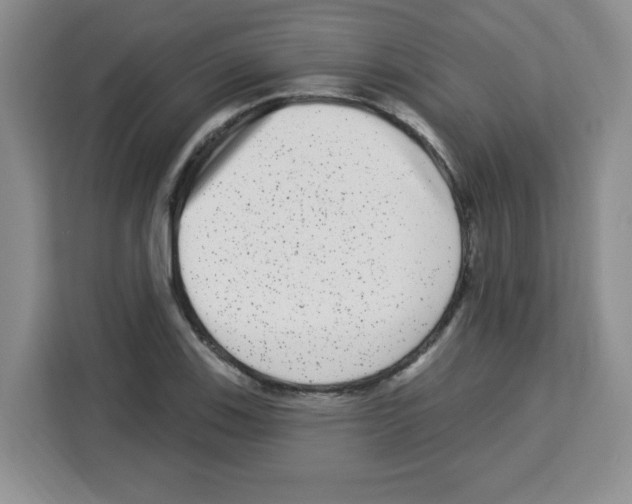 X0000113271123200910221054