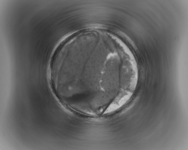 X0000113271125200910221054