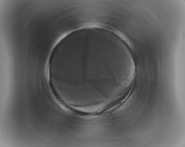 X0000113271127200910221054