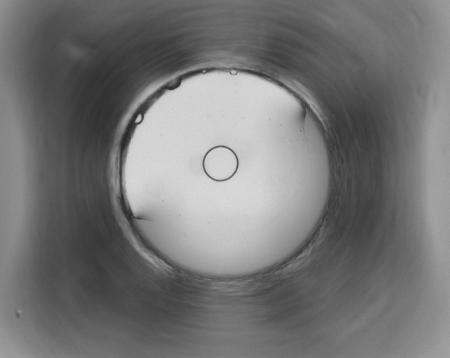 X0000113271128200910221054