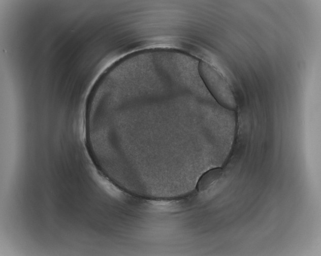 X0000113271132200910221054